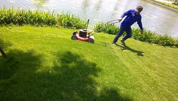 SÂN GOLF LUÔN ĐƯỢC CHĂM SÓC ĐÚNG KỸ THUẬT