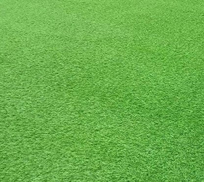 HƯỚNG DẪN CÁCH CHỌN CỎ NHÂN TẠO PHÙ HỢP TRONG TRƯỜNG HỌC