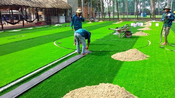 CỎ NHÂN TẠO SÂN BÓNG ĐÁ