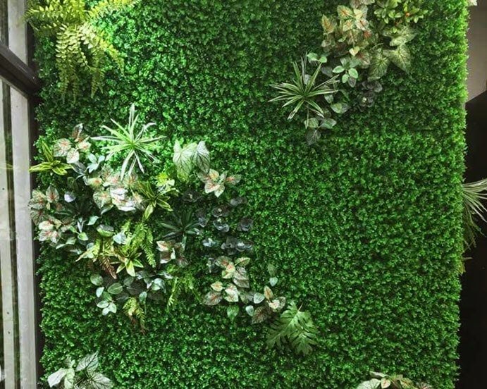 Cỏ nhựa trang trí ốp tường giá rẻ tại Hải Dương