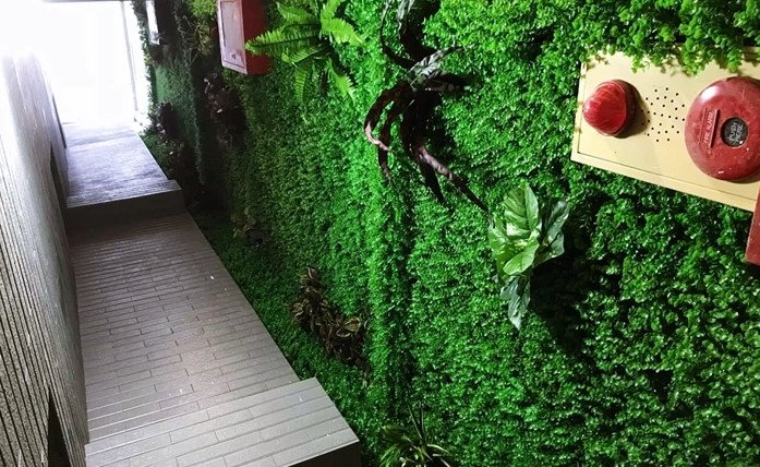 Cỏ nhựa trang trí ốp tường đẹp tại nhà