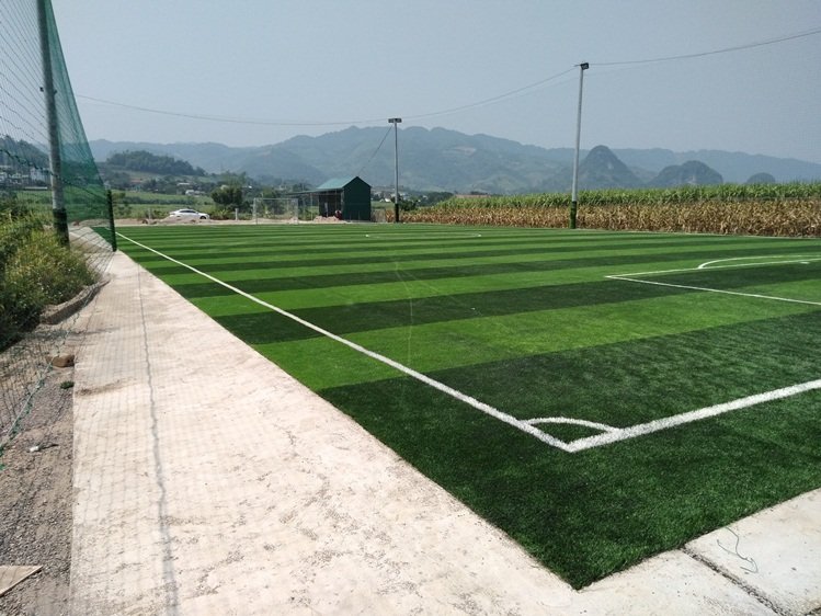 cung cấp và thi công cỏ nhân tạo tại Đồng Nai