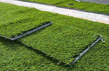 BÁN CỎ NHÂN TẠO SÂN VƯỜN GIÁ RẺ TẠI HẢI DƯƠNG