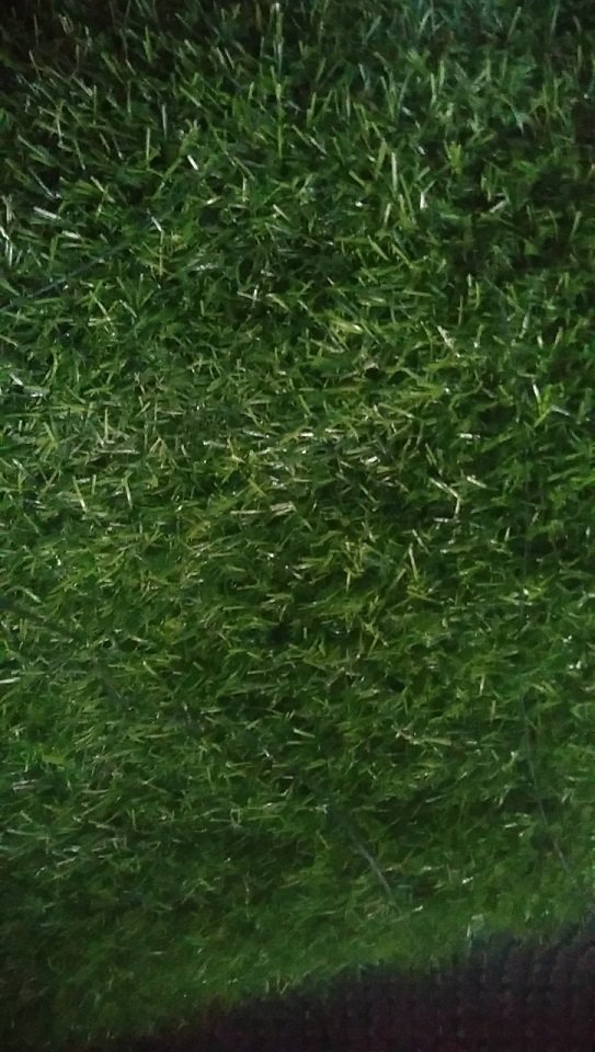 anh 1